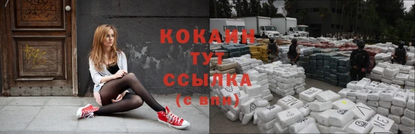 шишки Богородск