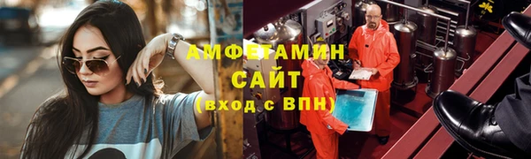 шишки Богородск