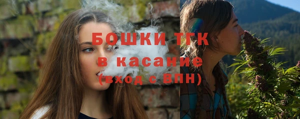 шишки Богородск