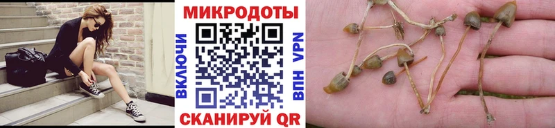 Псилоцибиновые грибы мухоморы  Бузулук 
